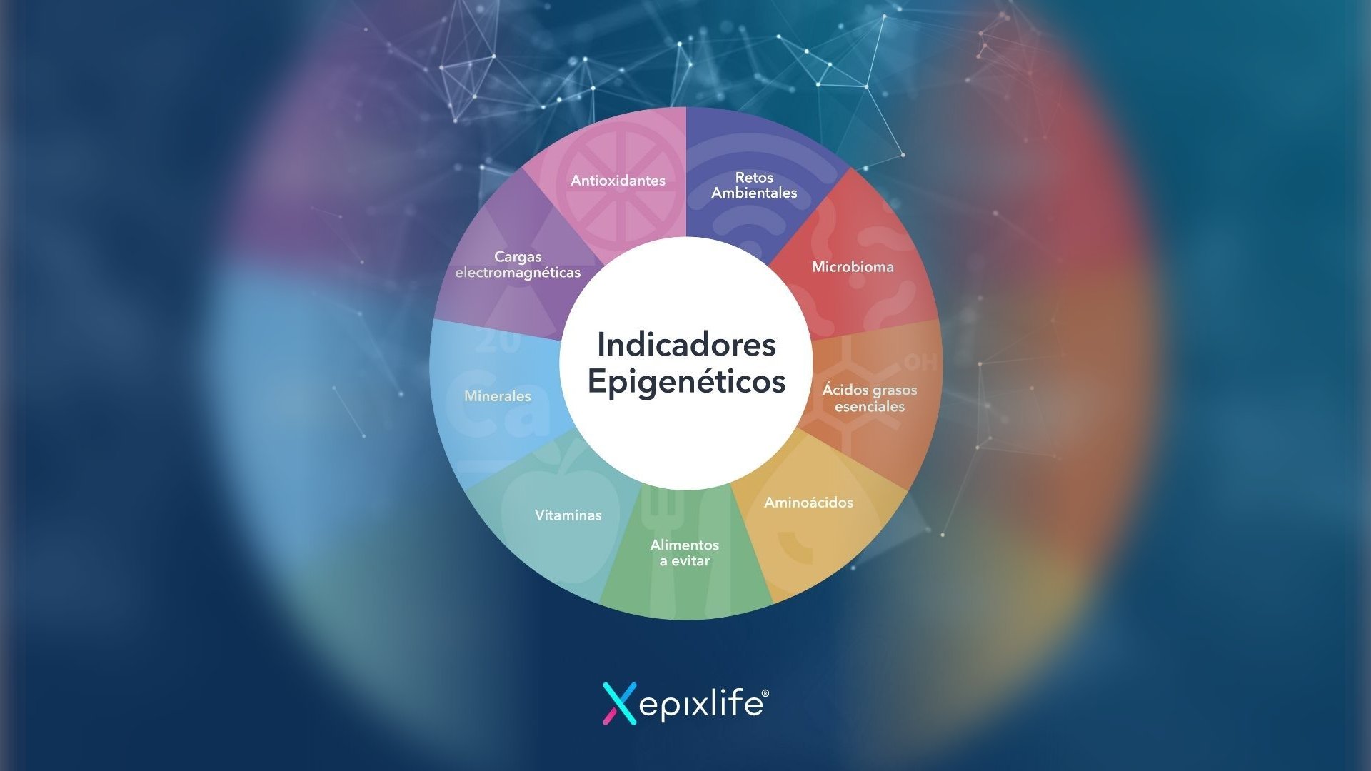Rueda de indicadores epigenéticos analizados: microbioma, minerales, vitaminas, aminoácidos, ácidos grasos esenciales, antioxidantes, cargas electromagnéticas y retos ambientales